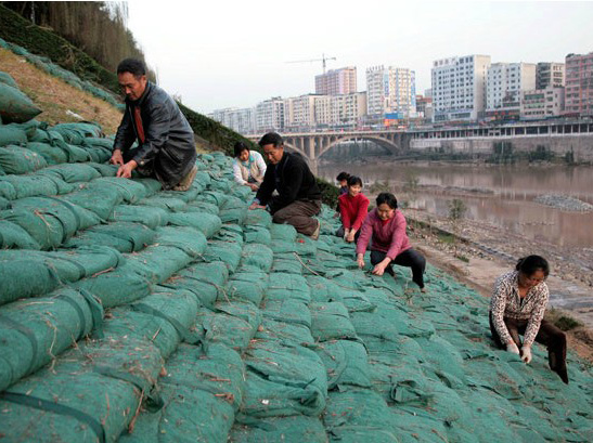 鄭州河道綠化生態袋