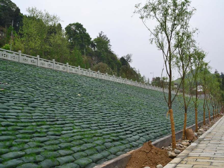 鄭州邊坡生態袋綠化效果